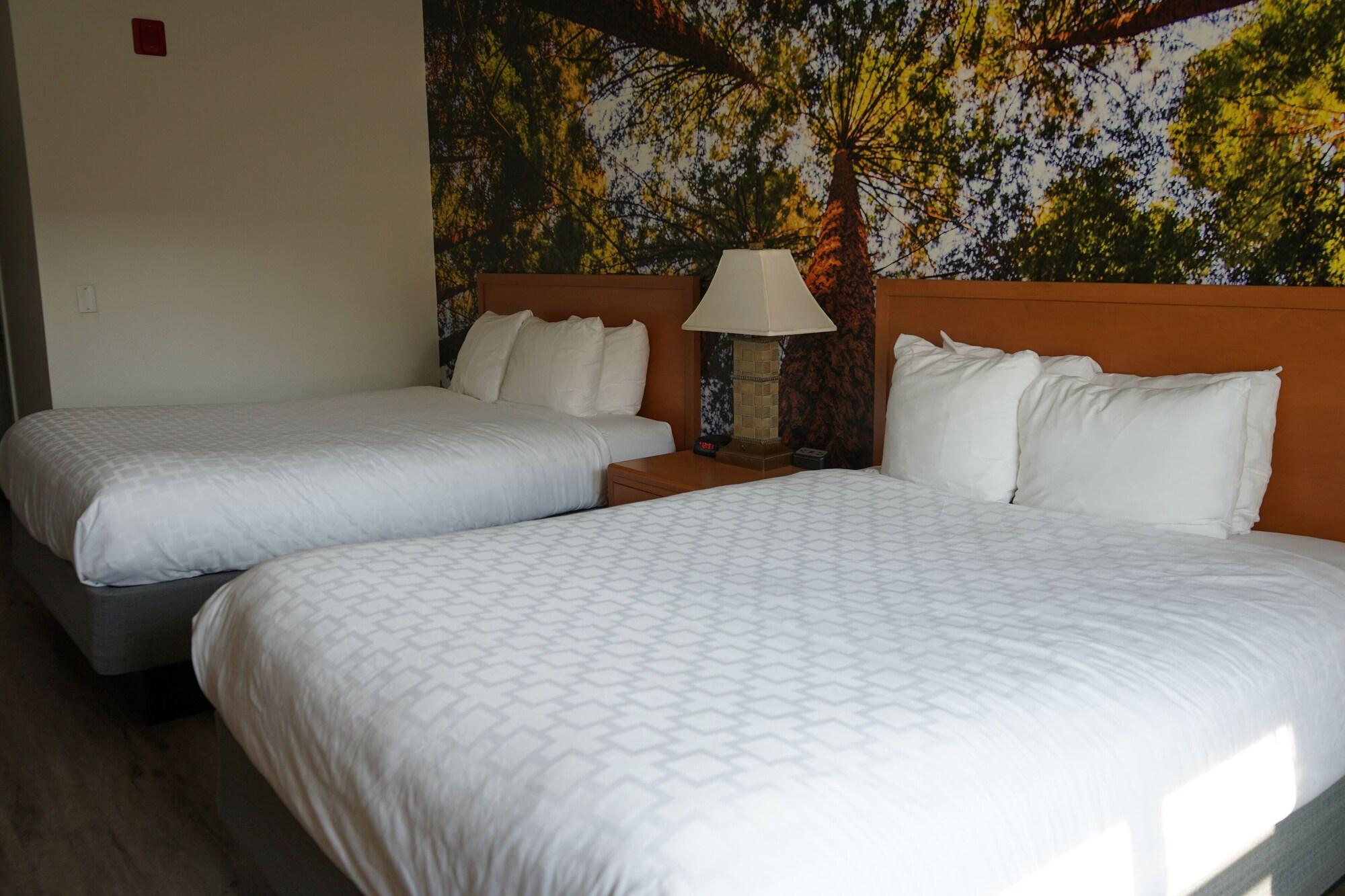 Comfort Lemoore