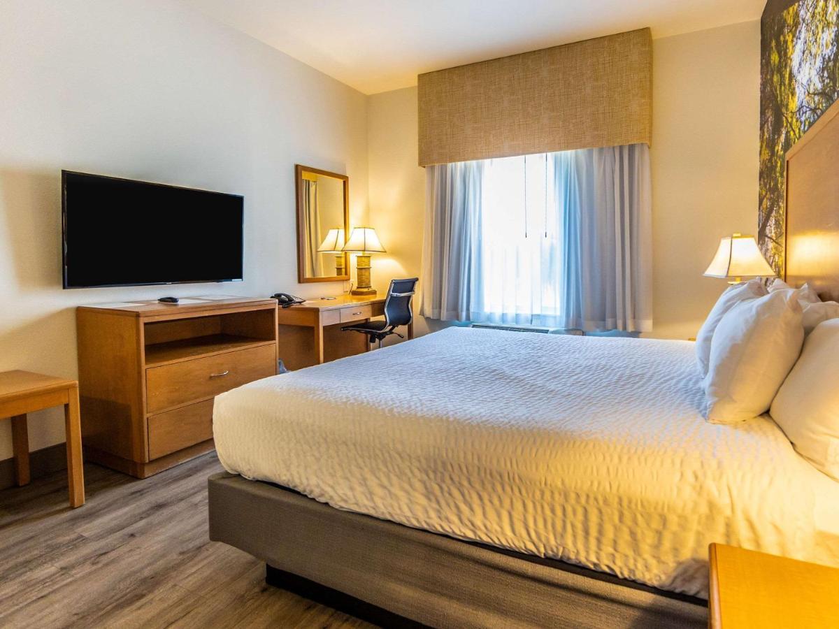 Comfort Lemoore