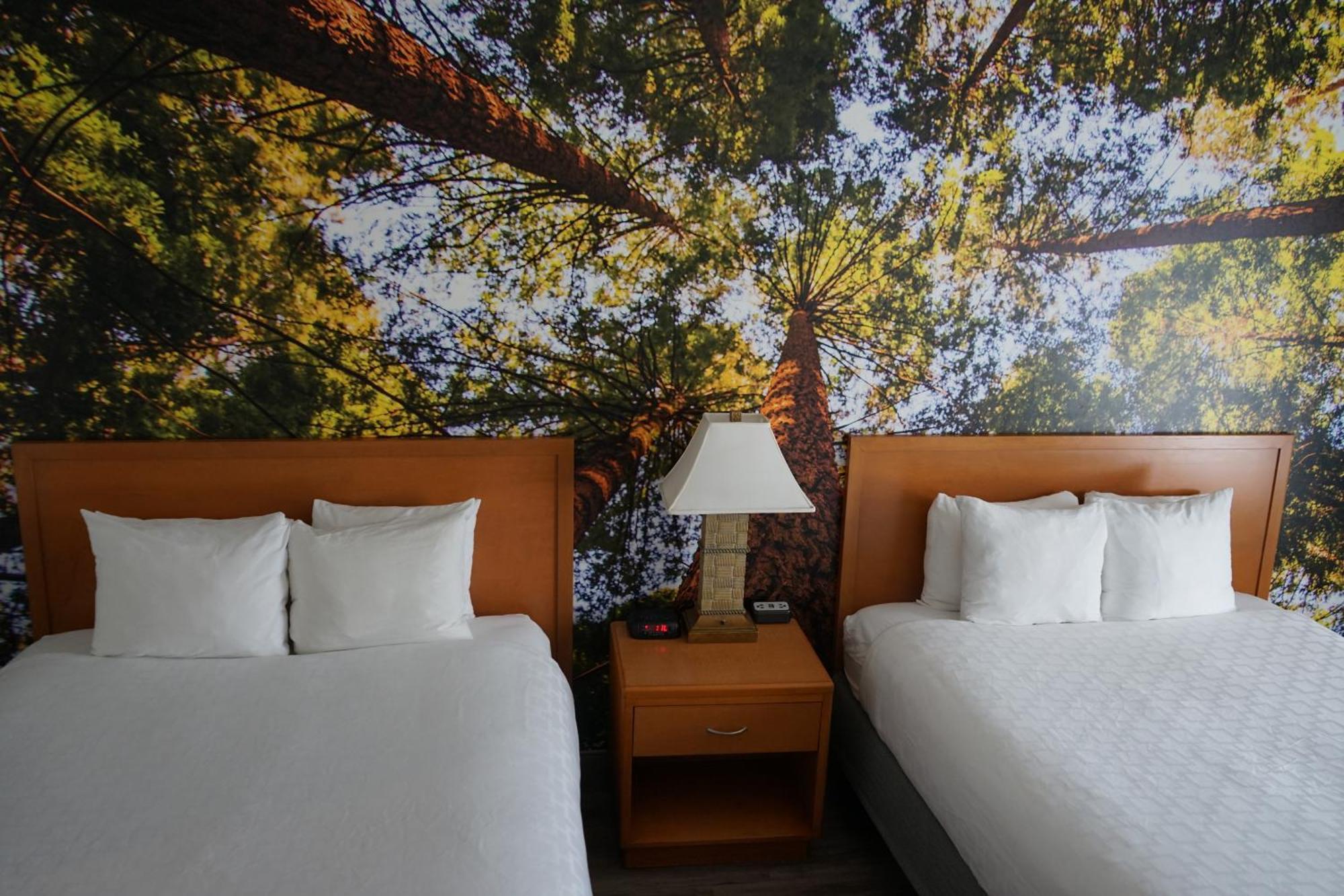 Comfort Lemoore Hanford
