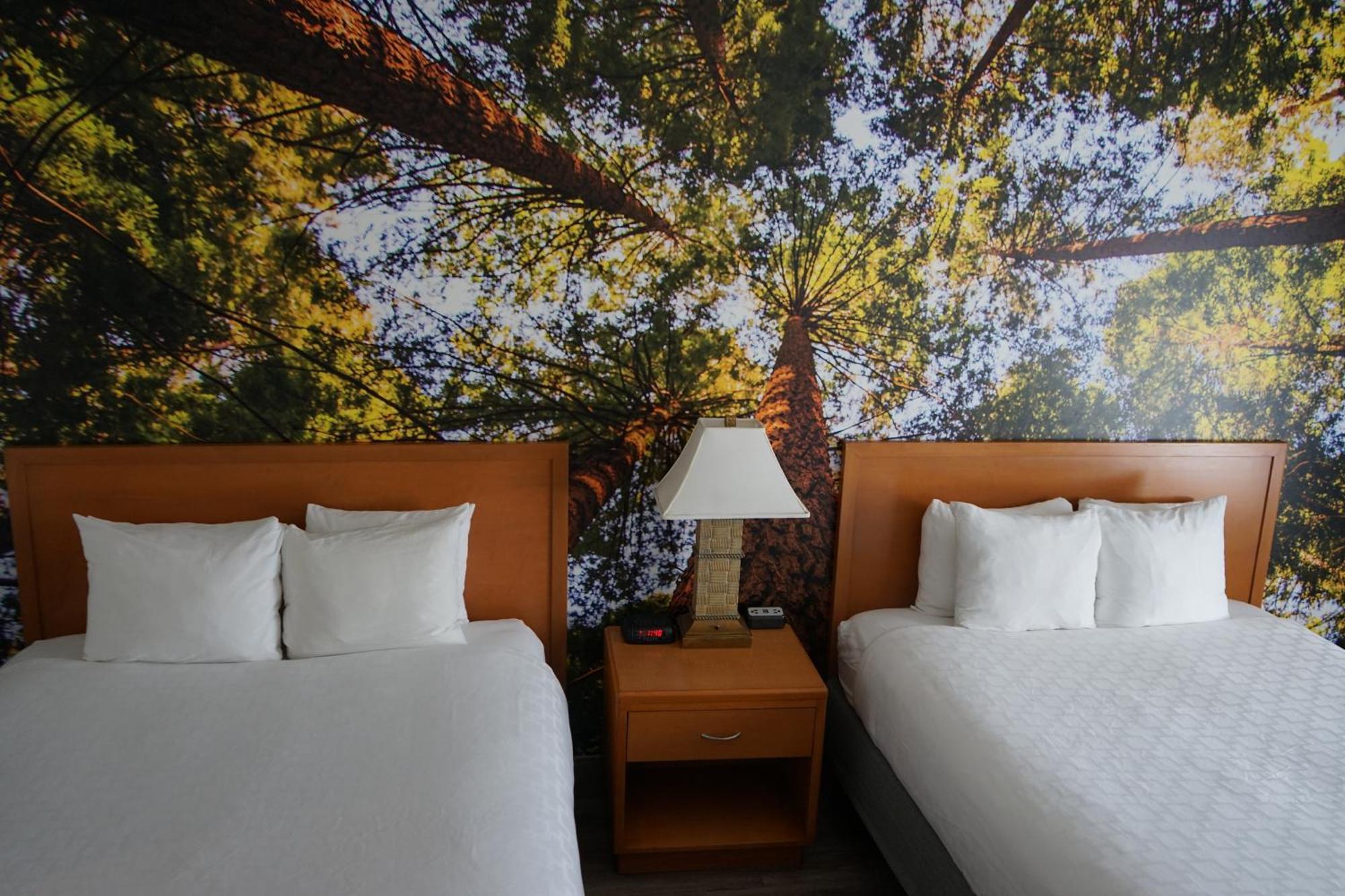 Inn Comfort Lemoore Hanford